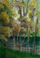 /album/fotogalerie-jaroslav-bily/bily-03-jpg/