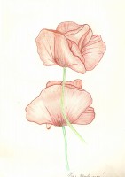 /album/lucie-munclingerova/munclingerova-01-jpg/