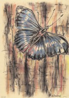 /album/antonin-stastny/stastny-02-jpg/